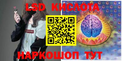 винт Берёзовский