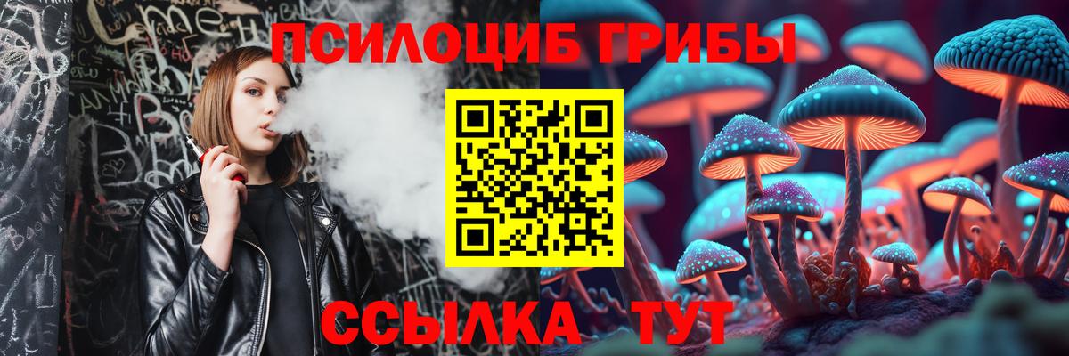 Звенигород  Псилоцибиновые грибы GOLDEN TEACHER  Вход с VPN  Псилоцибиновые грибы GOLDEN TEACHER 