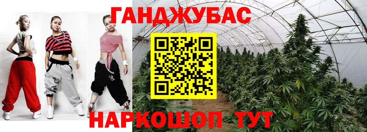 Марихуана конопля  Бошки марихуана планчик  Звенигород  Вход с VPN  Каннабис OG Kush  Бошки марихуана индика 